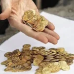 panikos se oli ti chora me tis chryses lires ti echei symvei