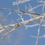 230211081851 1 1024x576 1