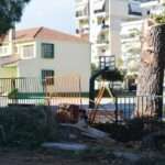 405790313 826819676116962 450178105556232690 n