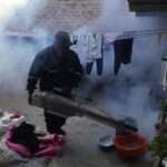 Peru Dengue Outbreak