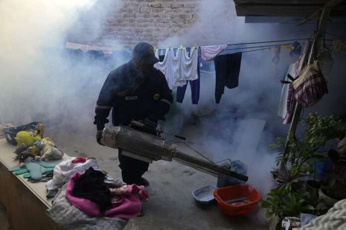 Peru Dengue Outbreak