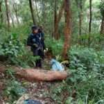 Thailand Drug Smuggling