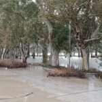 412030481 918778773093757 1970307942016010232 n 1024x768