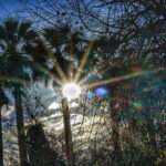 kairos dentra scaled