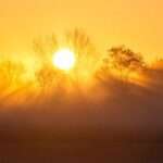 CEB7CEBBCEB9CEBFCF82