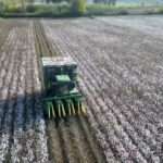 Sequence 02 00 29 19 21 Still020