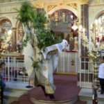 20240504 xios anastasi655