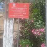 448488194 878014001020333 3261117316100080008 n