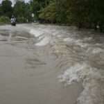 AP17226325407518 scaled 1