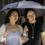 AP23175266694024 1 e1688462124246