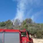 DASIKH FWTIA ZAXARW 2 e1716817039470