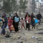 000 34LP7BB scaled 1