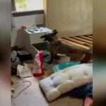 Screenshot 2024 07 26 at 11 06 04E280AFAM