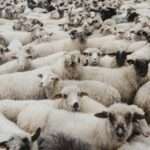 krzysztof kowalik kAxl973l9LI unsplash scaled e1722333638104 768x570 1 1