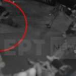 XYLODARMOS 768x372 1