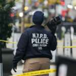 000 36PD8M7 scaled 1