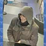 AP24340586676230 2 1024x576 1