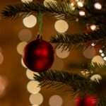 pexels landsmann 803094805 29875481 scaled