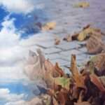 synnefa fylla fthinoporo