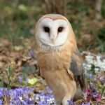 Sequence 04 00 03 39 19 Still001