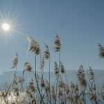 birgit steven lahno uAYuZdJ2xic unsplash scaled