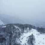 panagiotis falcos tNjnSVDqK 0 unsplash scaled