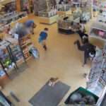 20250226 REUTERS PUPPIES2