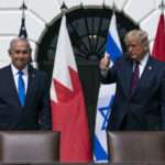 AP25035042041416 scaled 1