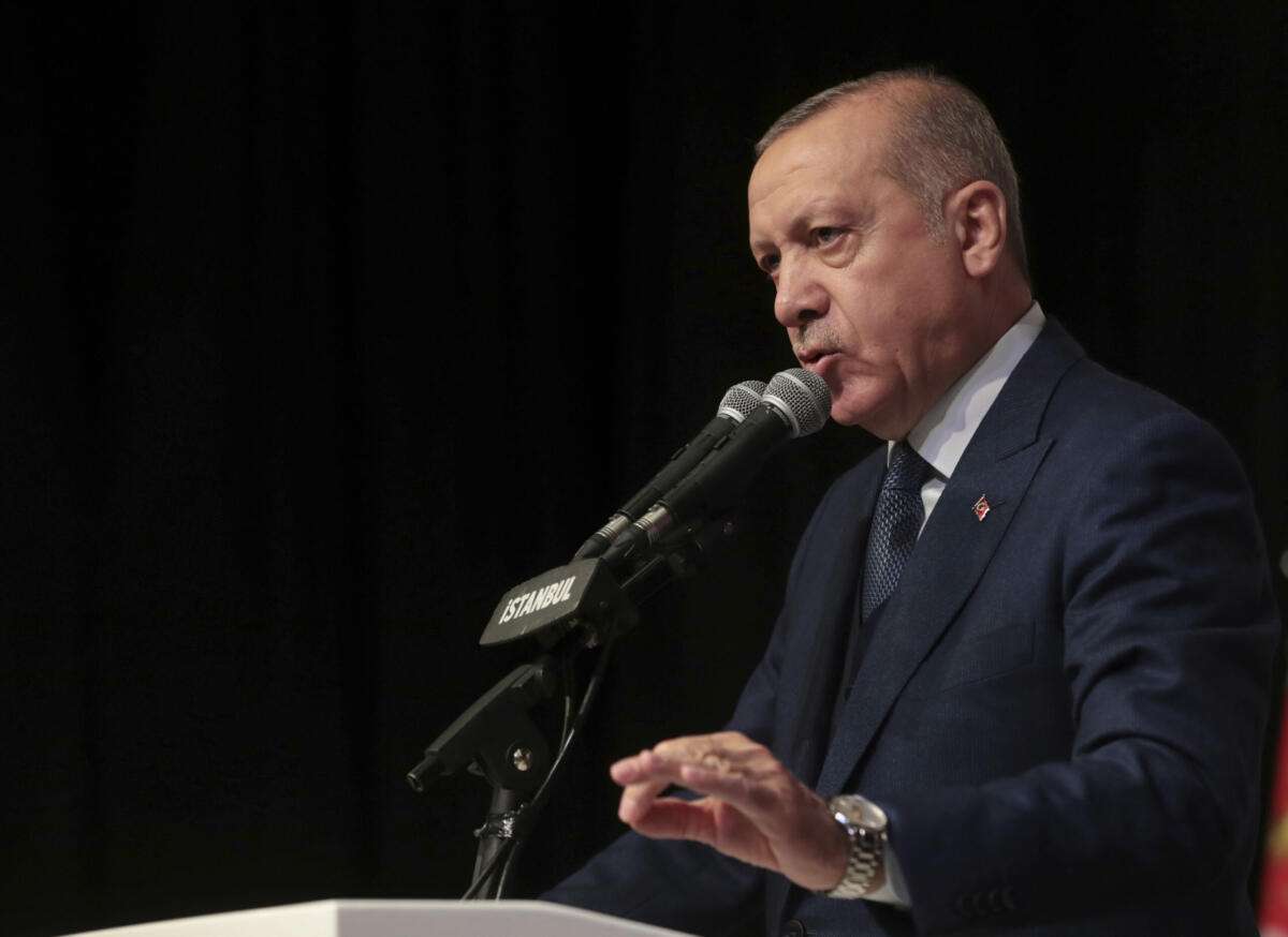 AP19110599769202 scaled 1