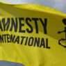 amnesty 5 768x542 1