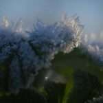 joran quinten cQTE6DNvAmc unsplash scaled