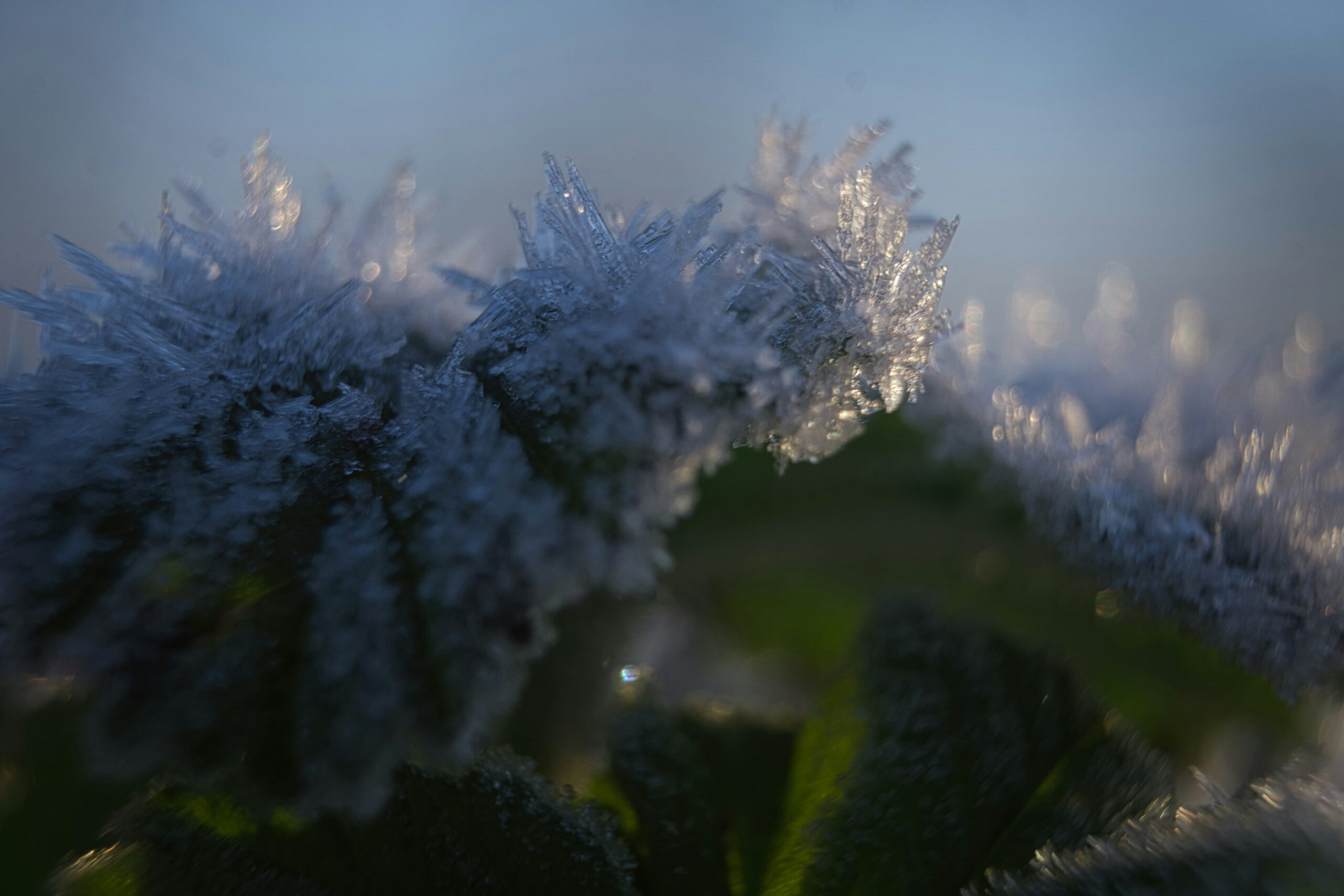 joran quinten cQTE6DNvAmc unsplash scaled