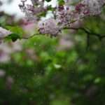 liana s HRDydB wq10 unsplash scaled