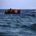 metanastes 768x479 1