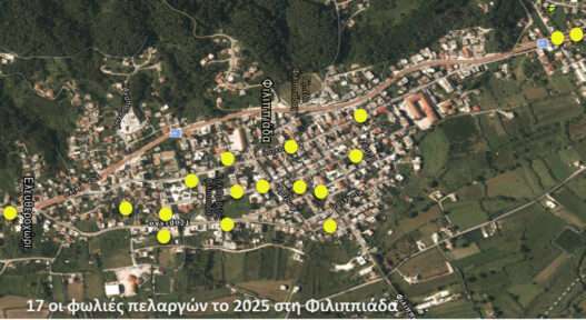 496249339