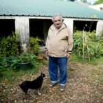 AP24246729698065 1024x725 2