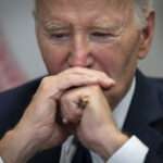 AP25009831953052 768x512 1