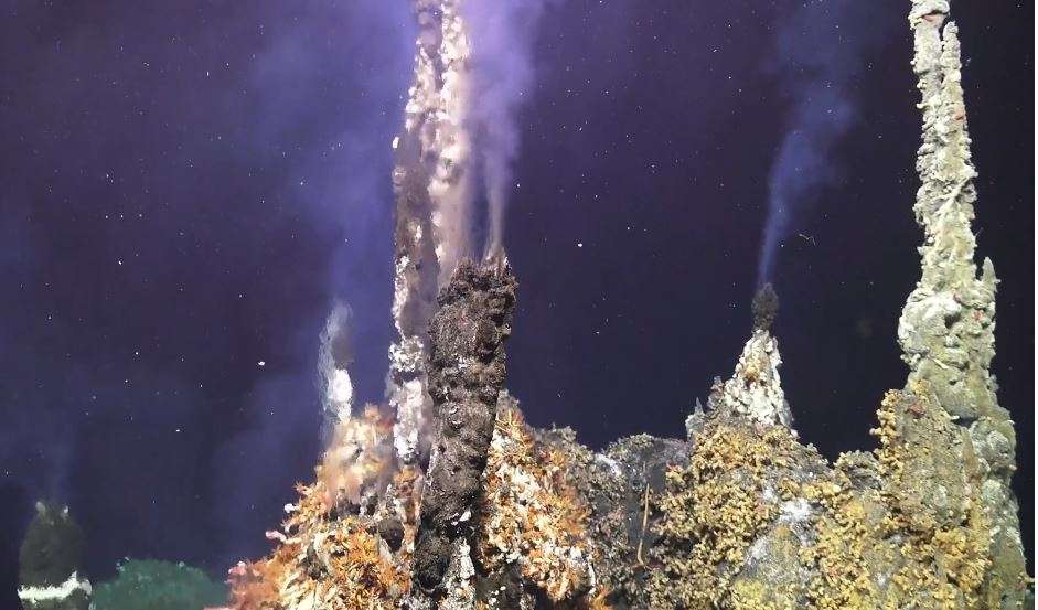 Axial Seamount