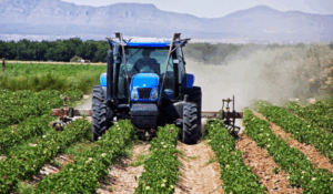 agrotes 768x448 1