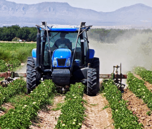 agrotes 768x448 1