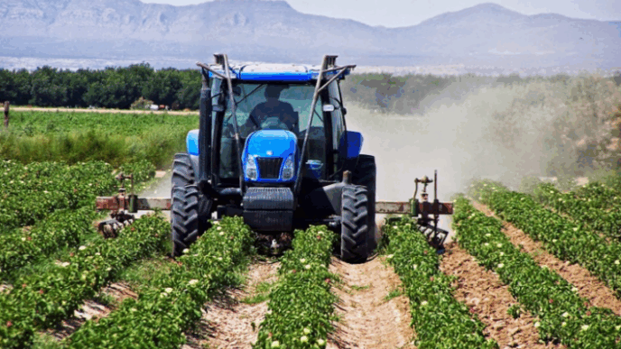agrotes 768x448 1