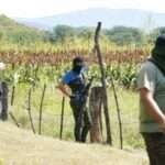 mexico drug cartel 768x507 1