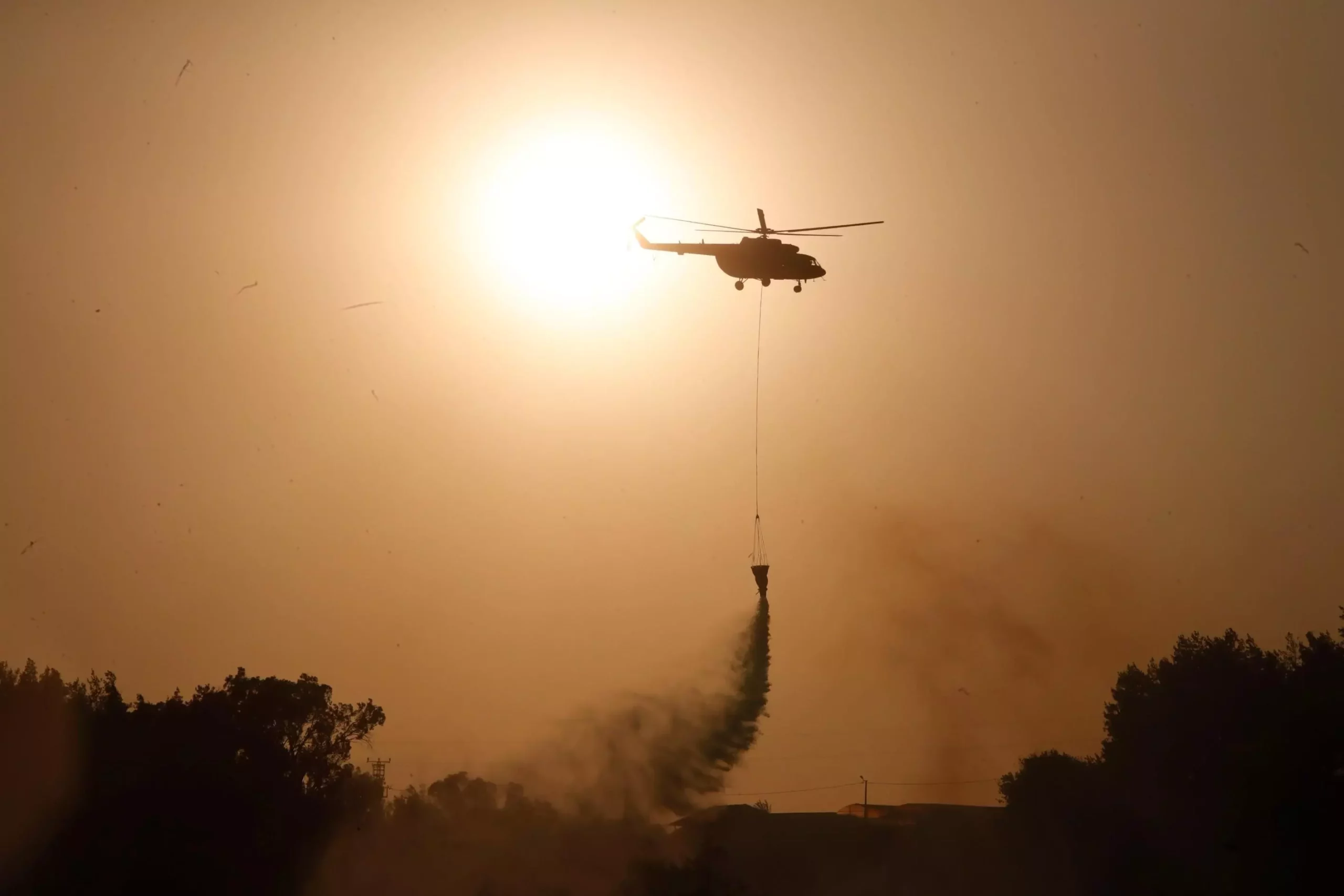 686228bcaf493530ec1b0270 scaled 1