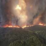 AP25150733307055 e1748841474198