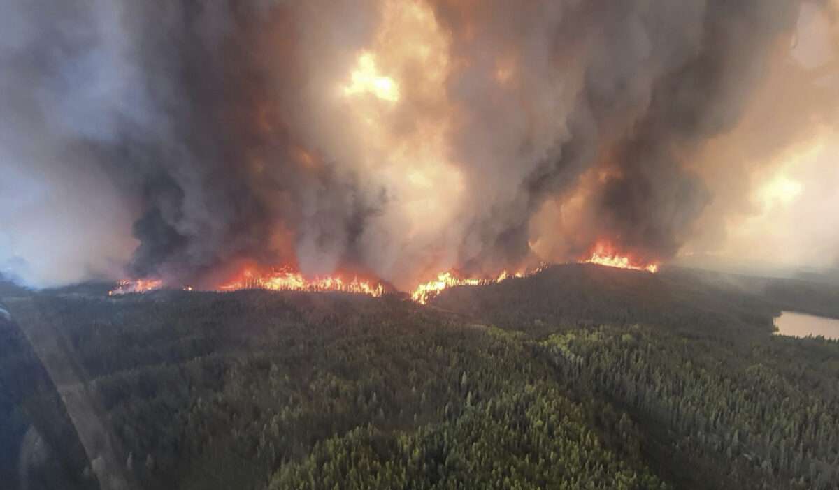 AP25150733307055 e1748841474198