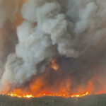 AP25150733392138 1 scaled 1