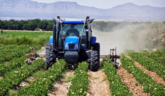 agrotes 768x448 1