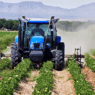 agrotes 768x448 1