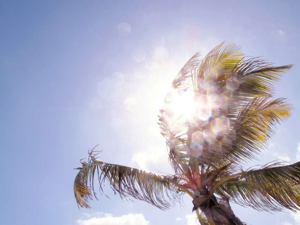 hugo l casanova 5wrgsa1ycps unsplash scaled