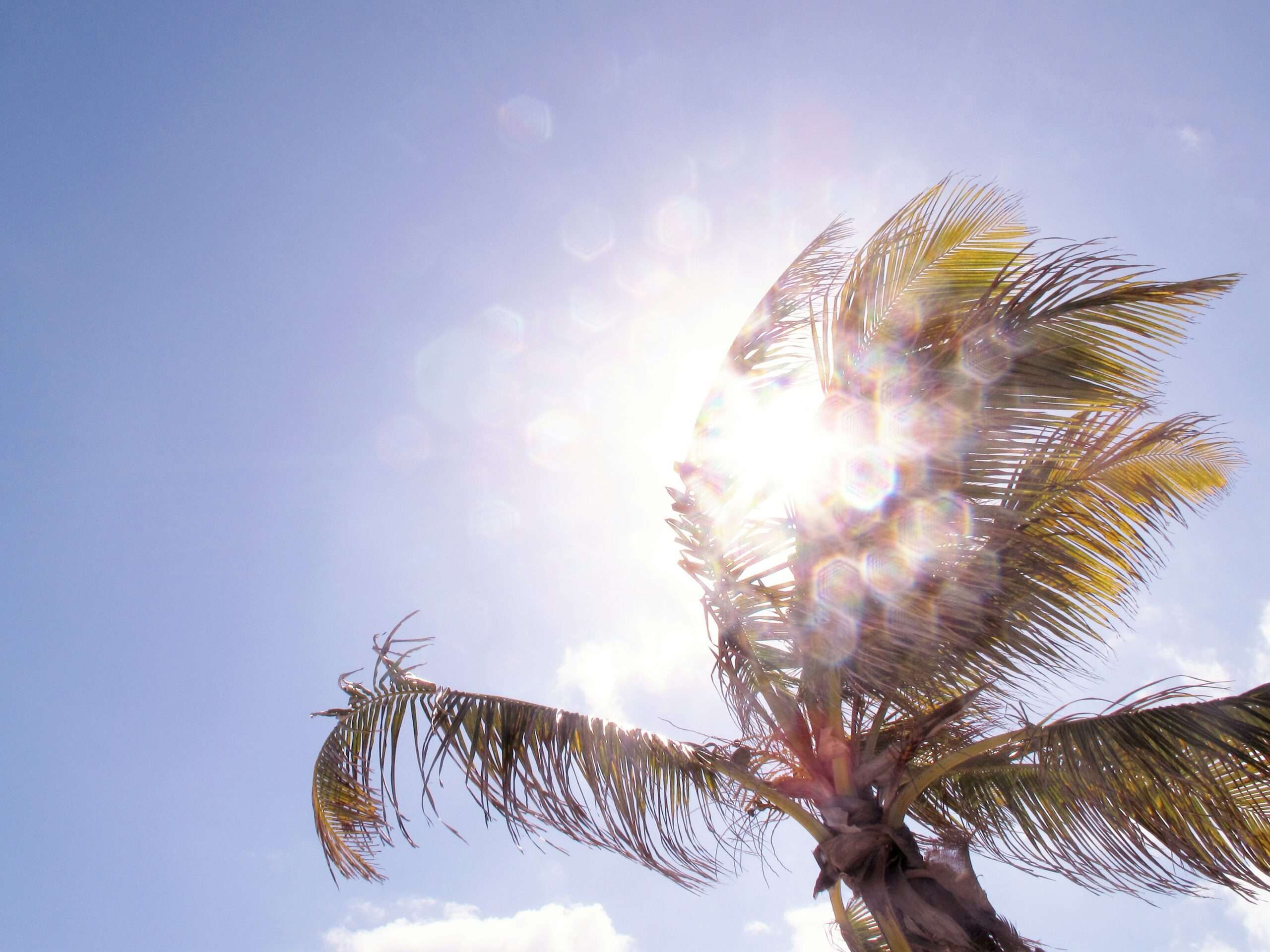 hugo l casanova 5wrgsa1ycps unsplash scaled